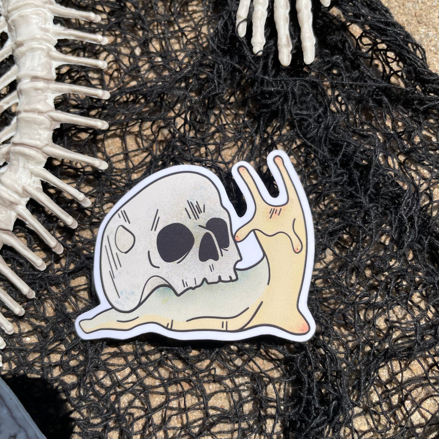 Snail Skull