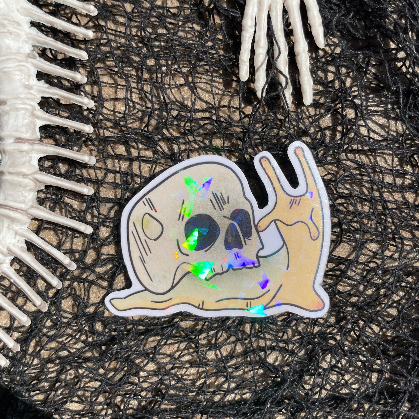 Snail Skull