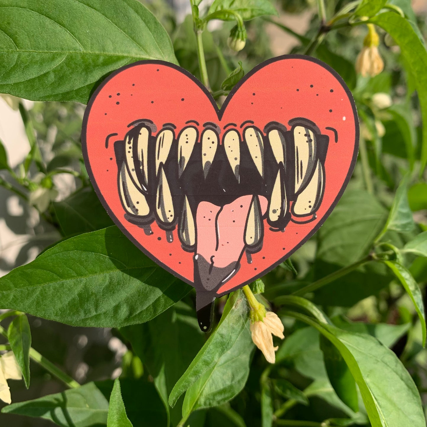 Hungry Heart