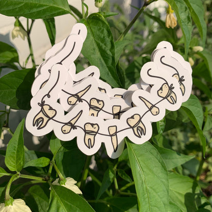 String of Teeth