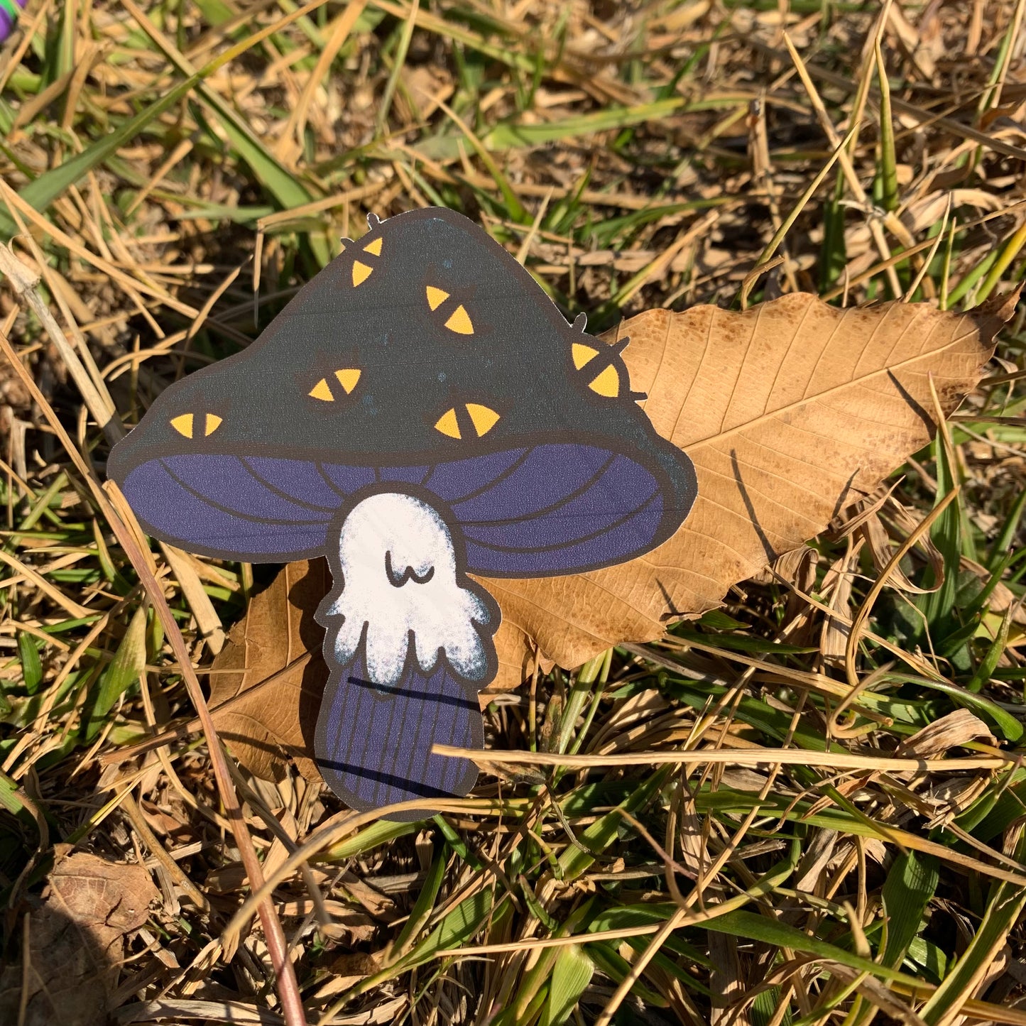 Eye Shrooms