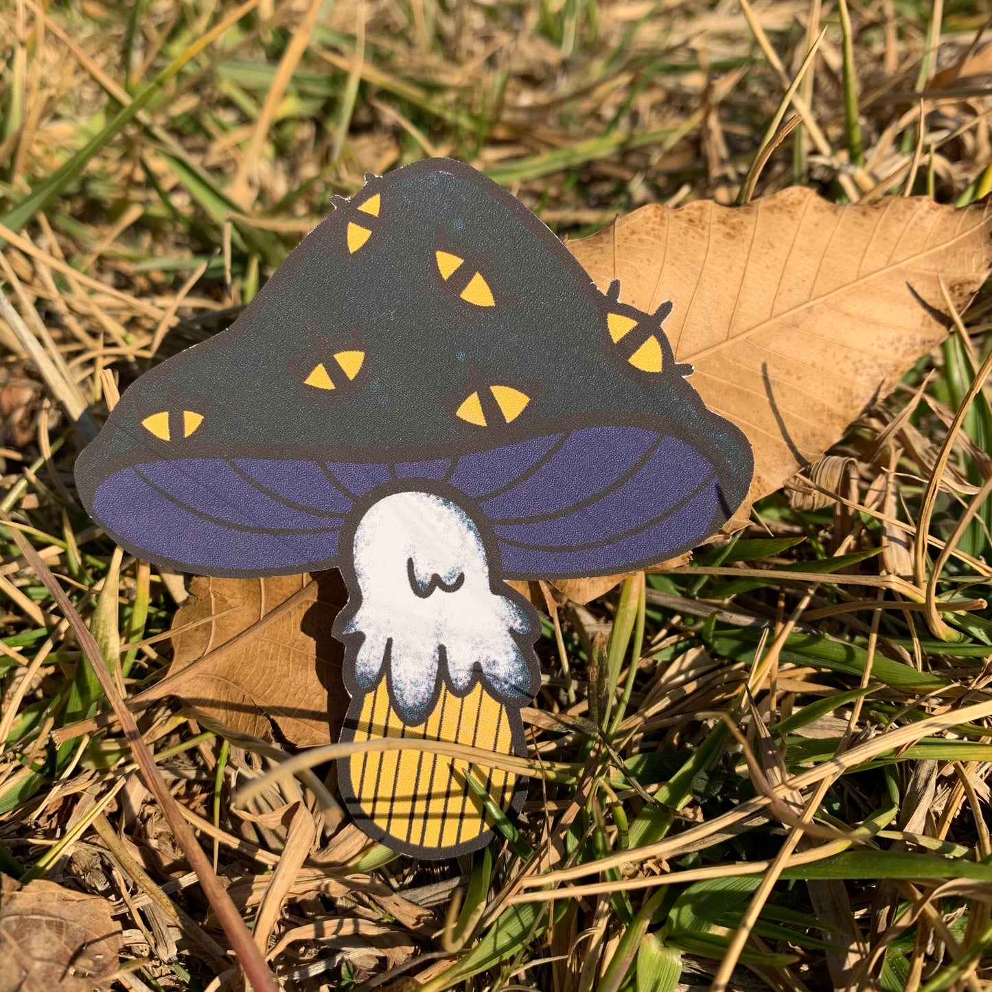 Eye Shrooms