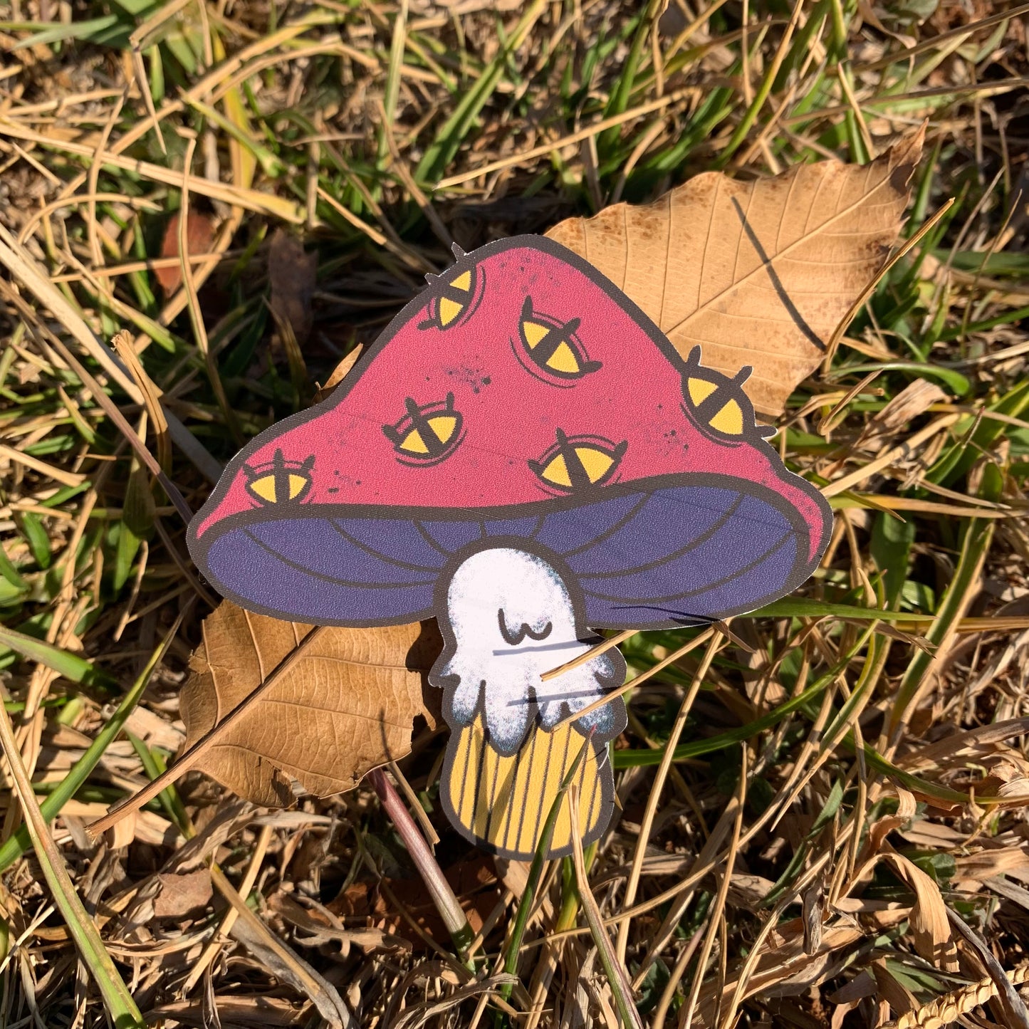 Eye Shrooms